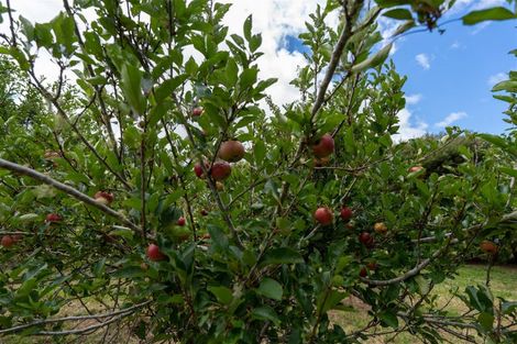 Photo of property in 3687 State Highway 12, Taheke, Kaikohe, 0473