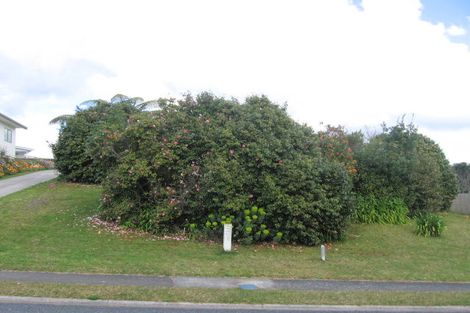 Photo of property in 111 Bruce Wallace Place, Whangamata, 3620