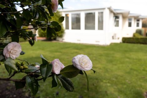 Photo of property in 63 George Street, Blenheim, 7201