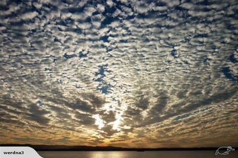 Photo of property in 11f Joan Street, Point Chevalier, Auckland, 1022