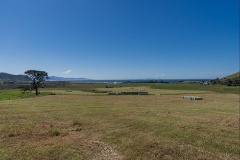 Photo of property in 550 Black Jack Road, Opito Bay, Whitianga, 3592