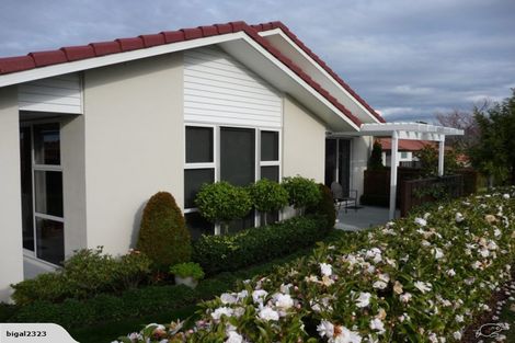 Photo of property in 5 Turnberry Close, Aongatete, Katikati, 3178