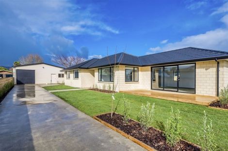 Photo of property in 42 Featherston Street, Levin, 5510