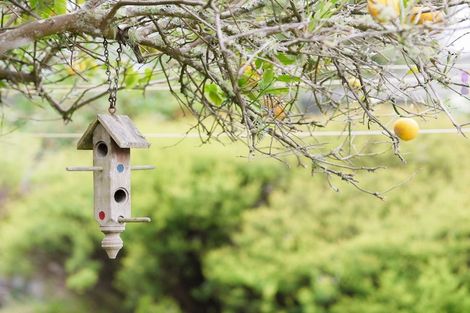 Photo of property in 78 Rimu Street, Waikanae, 5036