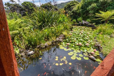 Photo of property in 800 Buffalo Road, Coromandel, 3506