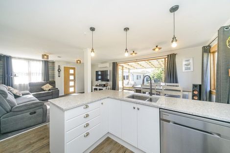 Photo of property in 93 Shamrock Street, Takaro, Palmerston North, 4412