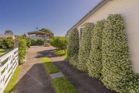 Photo of property in 65 Robinson Road, Whitianga, 3510
