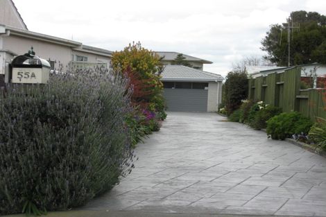 Photo of property in 55a Portal Street, Durie Hill, Whanganui, 4500