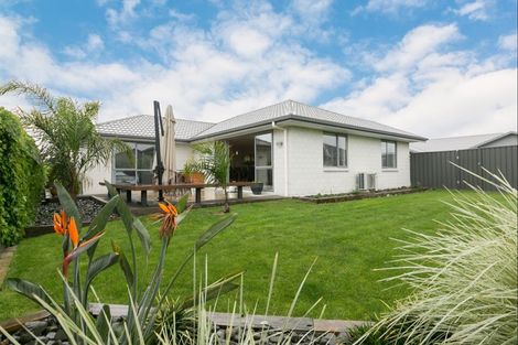 Photo of property in 19 Percy Berry Place, Havelock North, 4130