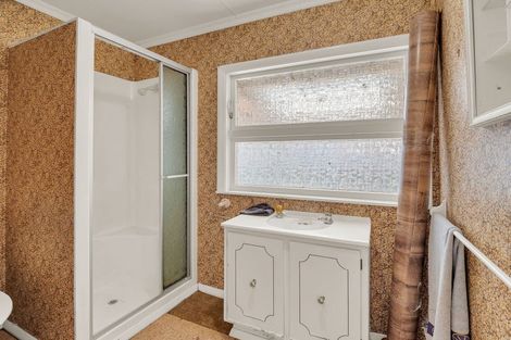 Photo of property in 202 Botanical Road, Takaro, Palmerston North, 4412