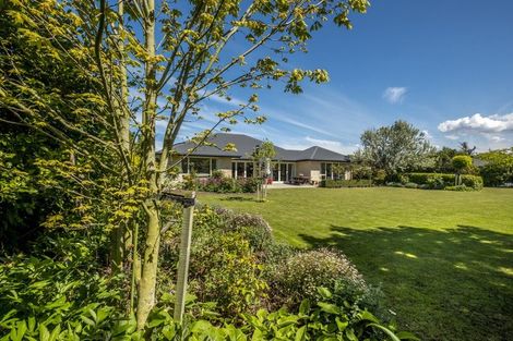 Photo of property in 7 Swindon Lane, Amberley, 7410