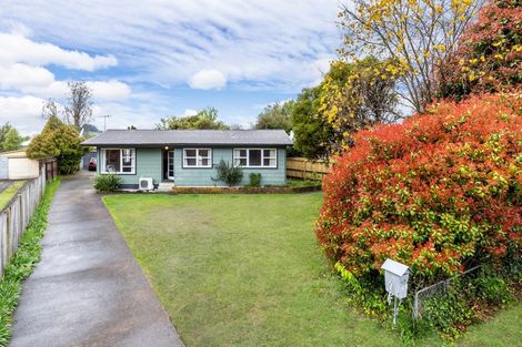 Photo of property in 52 Te Rangitautahanga Road, Turangi, 3334