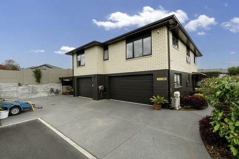 Photo of property in 38 Carmichael Road, Bethlehem, Tauranga, 3110