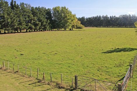 Photo of property in 66 Lincoln Street, Ashhurst, 4810