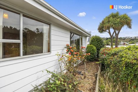 Photo of property in 28a Manchester Street, Bradford, Dunedin, 9011