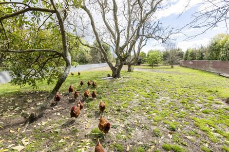 Photo of property in 312 King Road, Makauri, Gisborne, 4071