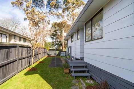 Photo of property in 45 Alison Street, Hamilton Lake, Hamilton, 3204