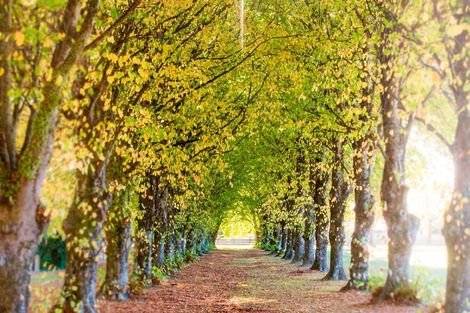 Photo of property in 58 West Street, Greytown, 5712