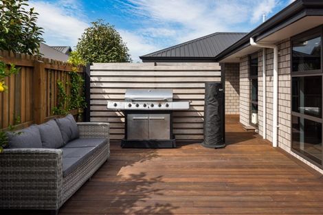 Photo of property in 113a Old Renwick Road, Springlands, Blenheim, 7201