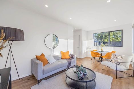 Photo of property in 21a Hazel Avenue, Mount Roskill, Auckland, 1041