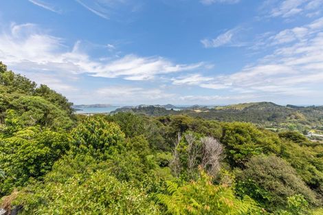 Photo of property in 800 Buffalo Road, Coromandel, 3506