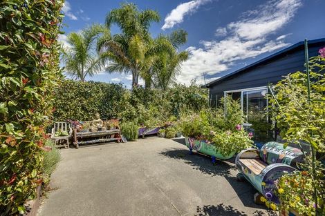 Photo of property in 56 Clarence Cox Crescent, Pirimai, Napier, 4112