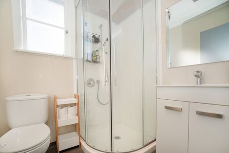 Photo of property in 19 College Street, Awapuni, Palmerston North, 4412