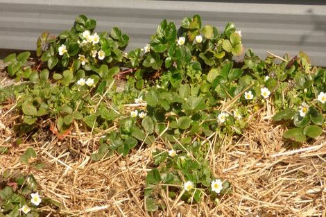 Photo of property in 33 Gloucester Street, Patea, 4520