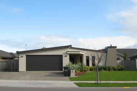 Photo of property in 31 Palmbrook Avenue, Havelock North, 4130