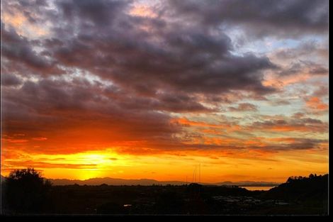 Photo of property in 7 Lebanon Street, Judea, Tauranga, 3110