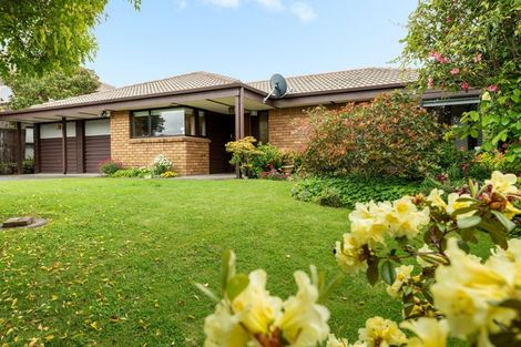 Photo of property in 3 Winchester Terrace, Bethlehem, Tauranga, 3110