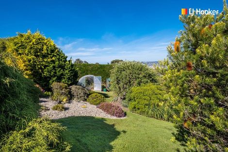 Photo of property in 115 Belford Street, Waverley, Dunedin, 9013