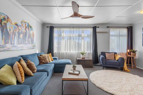 Photo of property in 9b Barratt Street, Blenheim, 7201