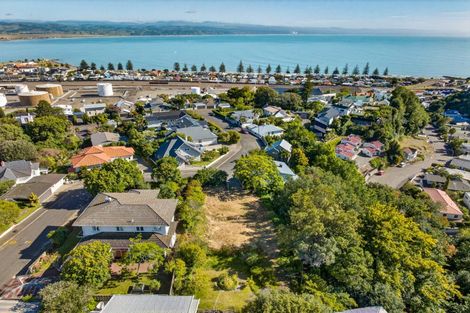 Photo of property in 19 Coleman Terrace, Hospital Hill, Napier, 4110