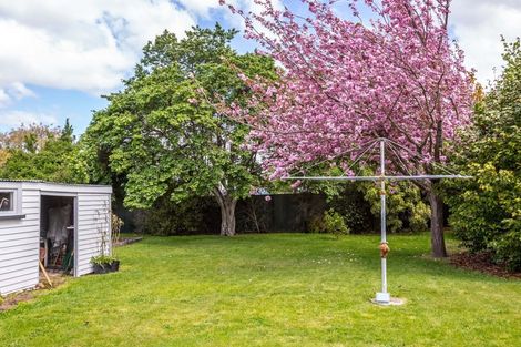 Photo of property in 39 College Street, Masterton, 5810