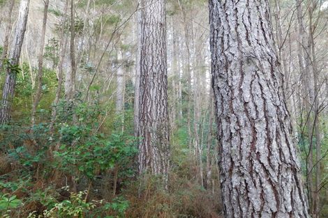 Photo of property in 195 Kapowai Road, Whenuakite, Whitianga, 3591