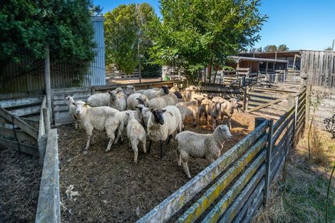 Photo of property in 645 Tancreds Road, Lincoln, Christchurch, 7676