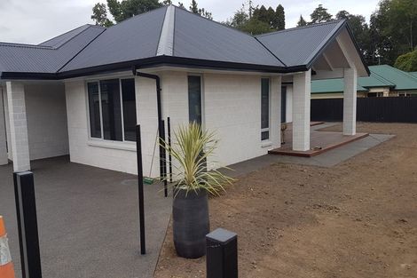 Photo of property in 55c Allen Street, Morrinsville, 3300