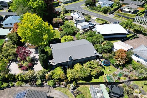 Photo of property in 11 Chesham Avenue, Waipahihi, Taupo, 3330
