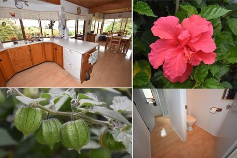 Photo of property in 221 Pahi Road, Pahi, Paparoa, 0571