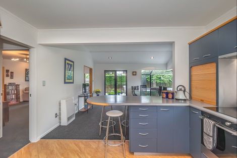 Photo of property in 87 Macarthur Street, Levin, 5510