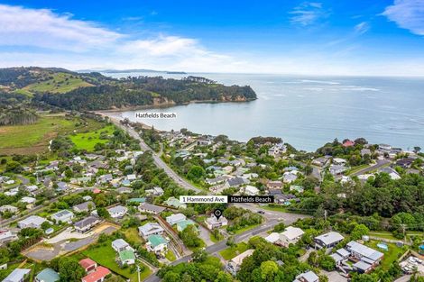 Photo of property in 1 Hammond Avenue, Hatfields Beach, Orewa, 0931