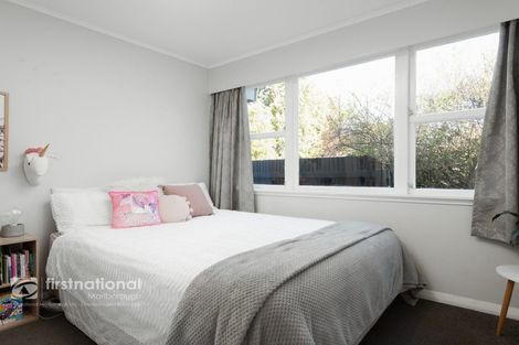 Photo of property in 123 Howick Road, Redwoodtown, Blenheim, 7201