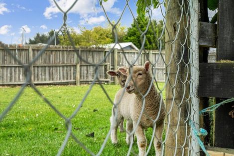 Photo of property in 19 King Street, Coalgate, 7673