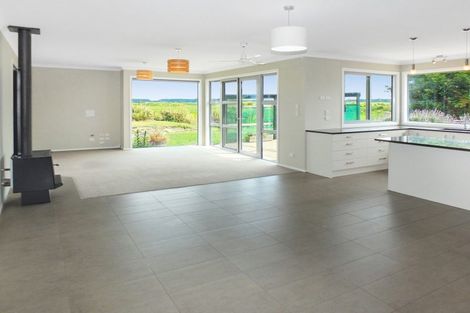 Photo of property in 90 Bergin Road, Foxton, 4814