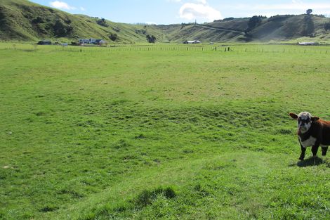 Photo of property in 52 Grant Road, Kinloch, Taupo, 3385