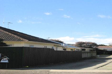 Photo of property in 37b Macarthur Street, Levin, 5510