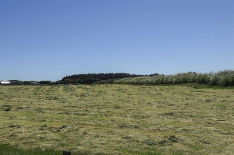 Photo of property in 56 Clark Road, Omaui, Invercargill, 9877