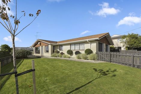 Photo of property in 323 Mangorei Road, Merrilands, New Plymouth, 4312