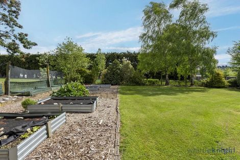 Photo of property in 2377 Homebush Road, Coalgate, 7673